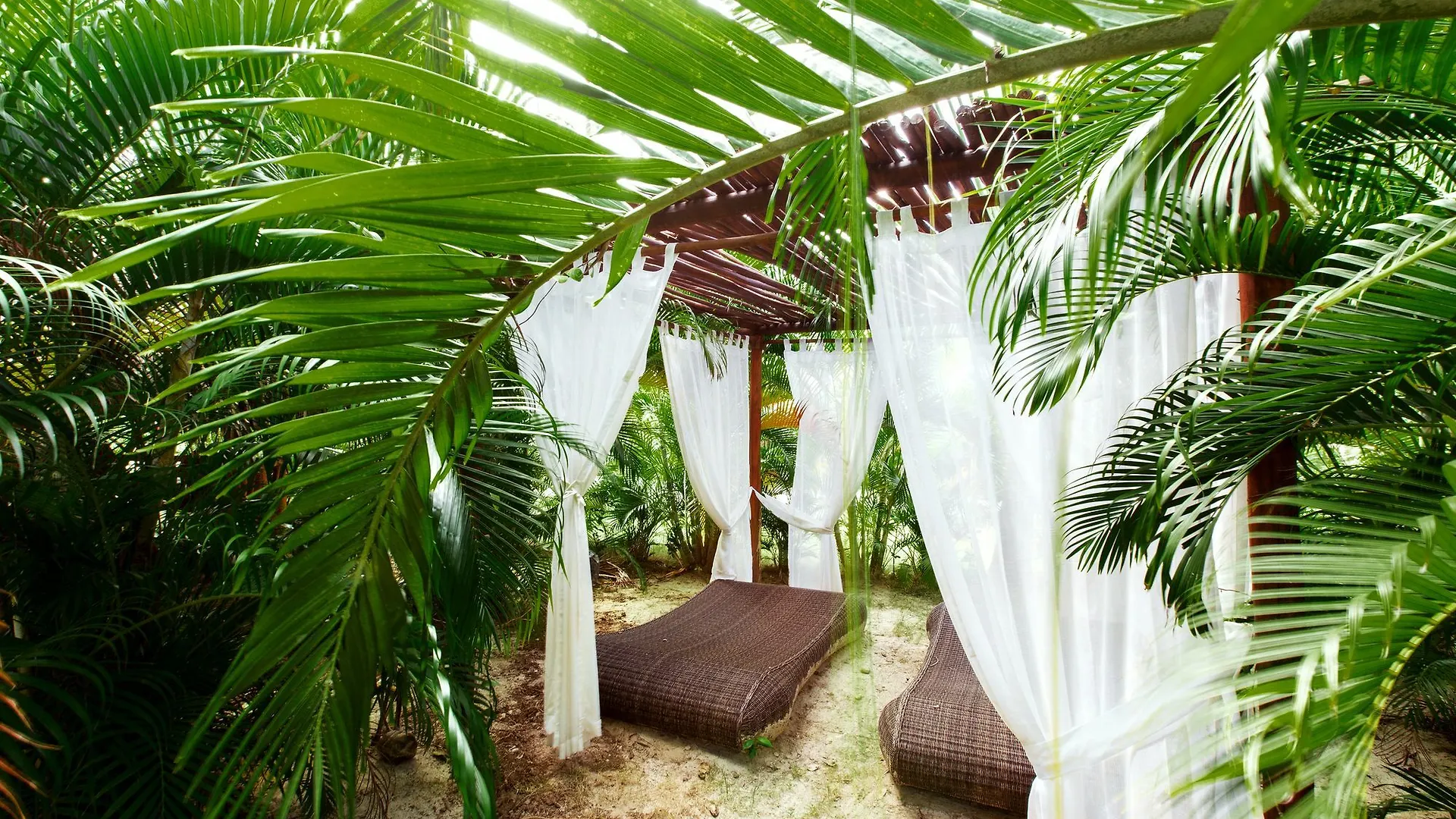 Hotel Tropicana Suites Deluxe Bavaro