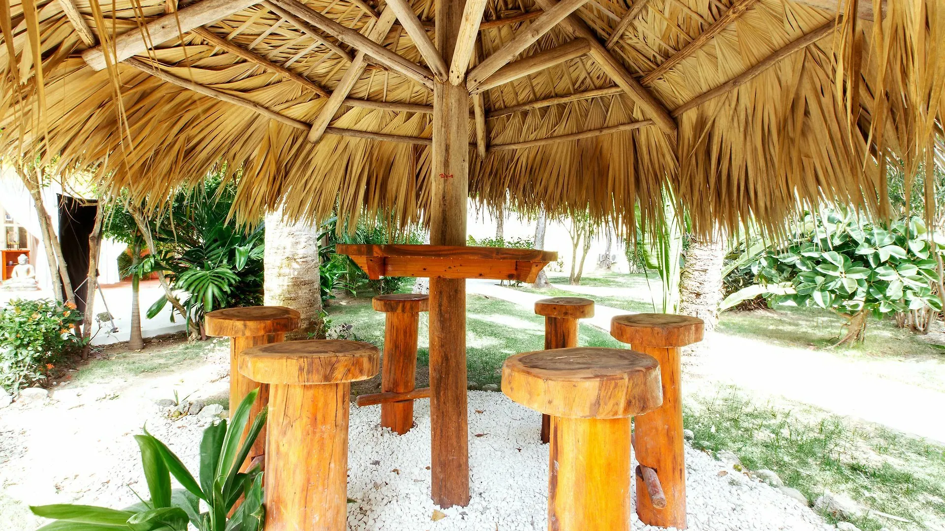****  Hotel Tropicana Suites Deluxe Bavaro Dominican Republic
